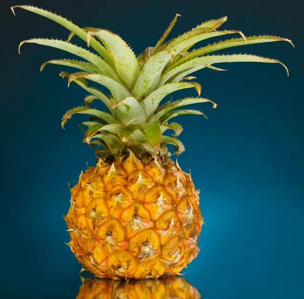 Ripe pineapple on dark blue background — Stock Photo, Image