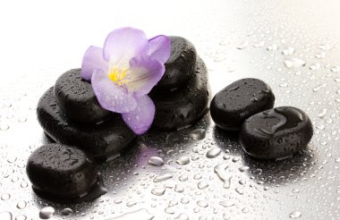 Spa taşlar ve ıslak zemin üzerine mor çiçek