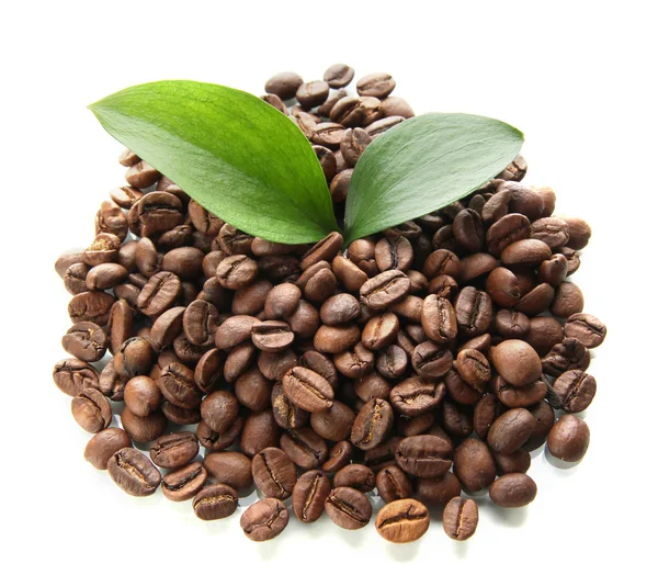 Granos de café con hojas aisladas sobre blanco — Foto de Stock