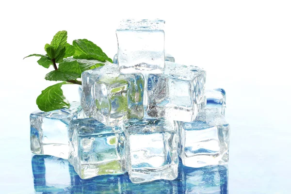 Ice with mint on light background — Stock Photo, Image
