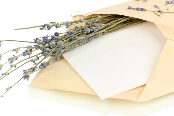 Sobre viejo con papel en blanco y lavanda aislado en blanco — Foto de Stock