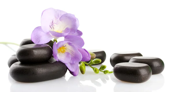 Piedras de spa y flor púrpura, aisladas en blanco —  Fotos de Stock