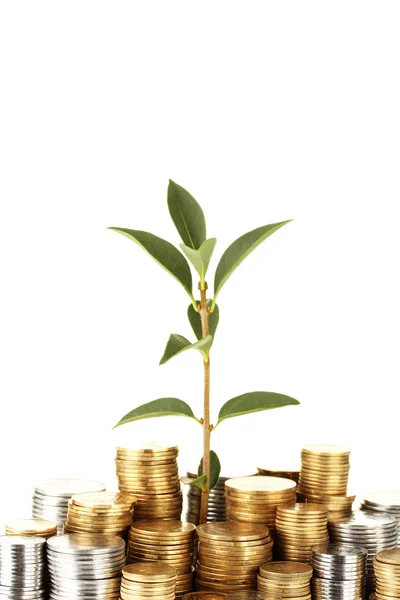 Plant growing out of gold and silver coins on white background close-up — Stock Photo, Image