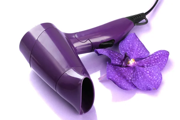 Hair dryer and flower on purple background — Stock Photo, Image