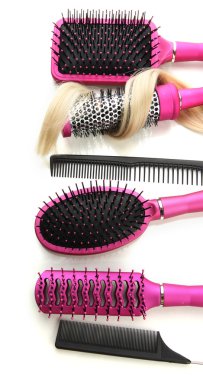 tarak fırça saçlı, beyaz izole