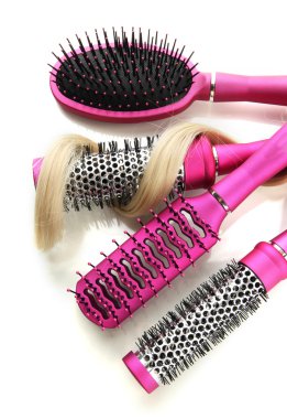 tarak fırça saçlı, beyaz izole