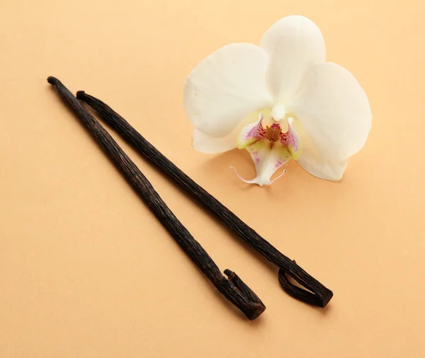 Vanilkové lusky s květem, na béžové pozadí — Stock fotografie