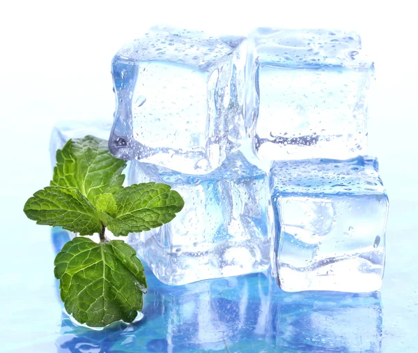 Ice with mint on light background — Stock Photo, Image