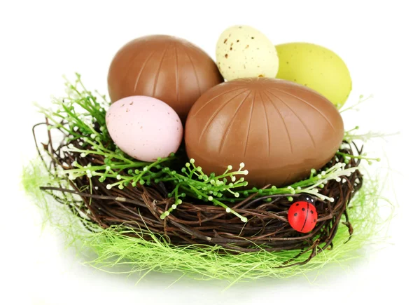 Composition of Easter and chocolate eggs in nest isolated on white — Stock Photo, Image