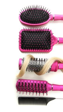 tarak fırça saçlı, beyaz izole