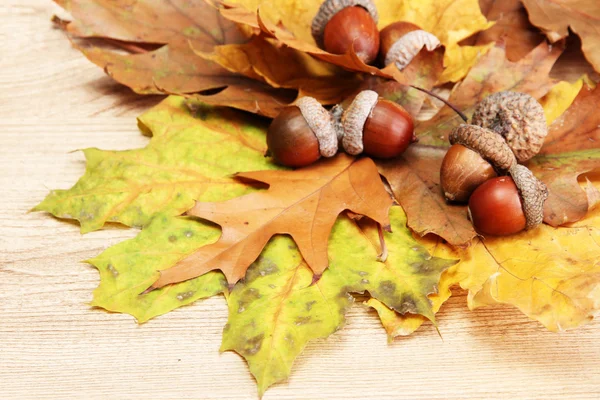 Bolotas marrons em folhas de outono, em fundo de madeira — Fotografia de Stock