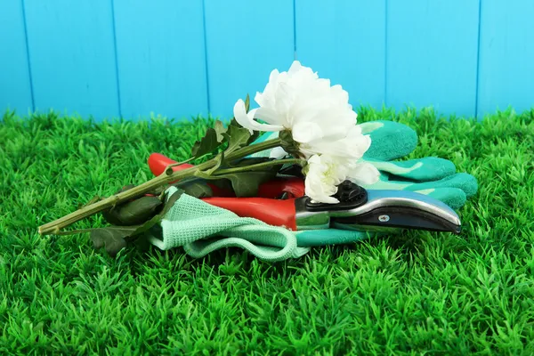 Secateurs with flower on grass on fence background — Stock Photo, Image