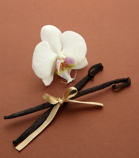 Vanilla pods with flower, on brown background — Stock Photo, Image