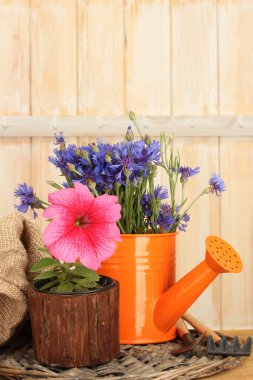 sulama olabilir, araçları ve ahşap zemin çiçek
