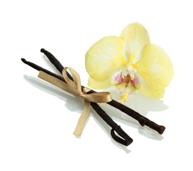 çiçekli beyaz izole vanilya pods