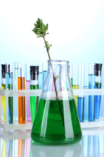 Different laboratory glassware with color liquid on blue background — Stock Photo, Image