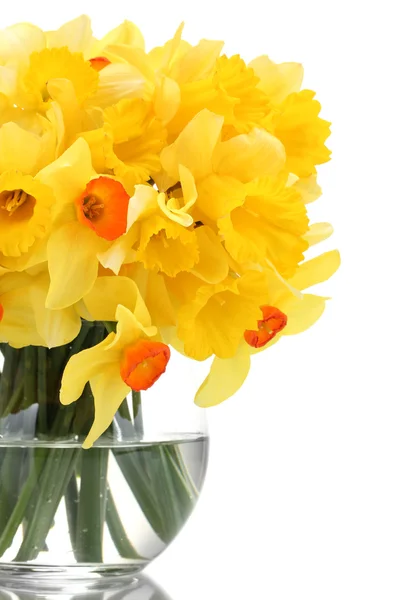 Красивые желтые нарциссы в прозрачной вазе изолированы на белом — стоковое фото
