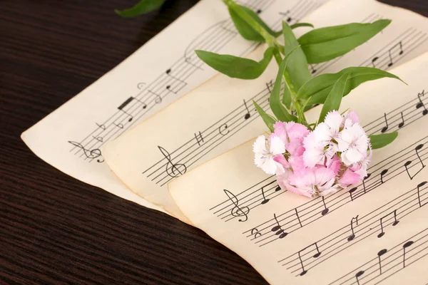 Notes musicales et fleurs sur table en bois — Photo
