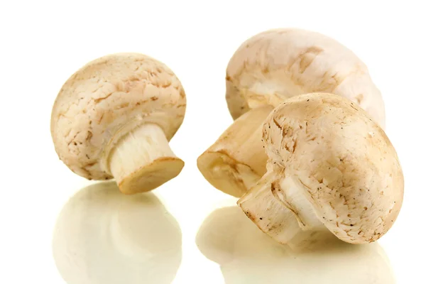 Champignons frais isolés sur blanc — Photo