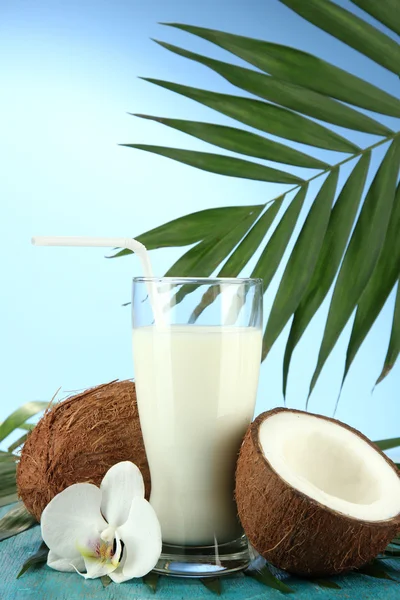 Cocos con vaso de leche, sobre fondo azul —  Fotos de Stock