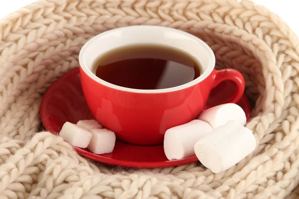 Tazza di tè con sciarpa primo piano — Foto Stock