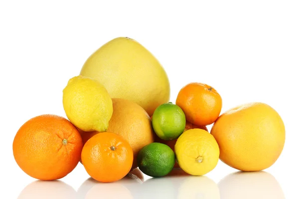 Lots ripe citrus isolated on white — Stock Photo, Image