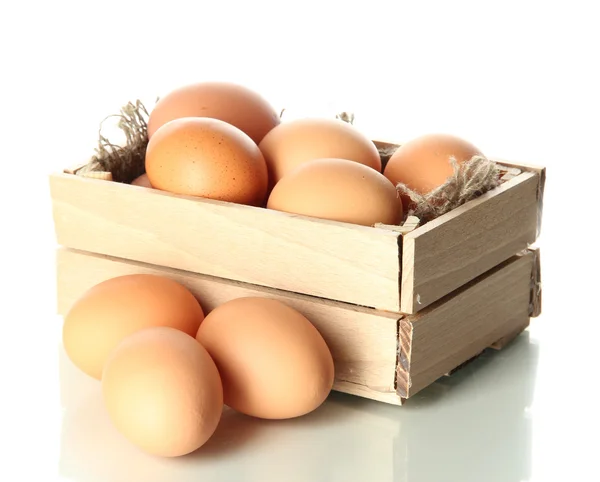 Многие яйца в коробке изолированы на белом — стоковое фото