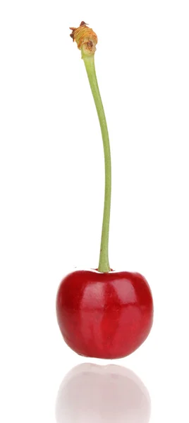Rijp cherry berry geïsoleerd op wit — Stockfoto