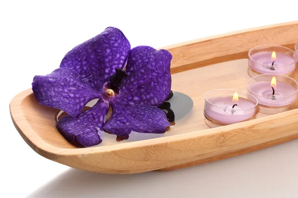 Drewniana miska z świece i purpurowy kwiat, na białym tle — Zdjęcie stockowe