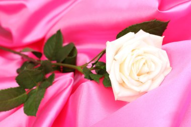 güzel gül pembe bir bez üzerinde