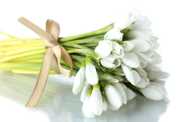 Beautiful bouquet of snowdrops isolated on white — Stock Photo, Image