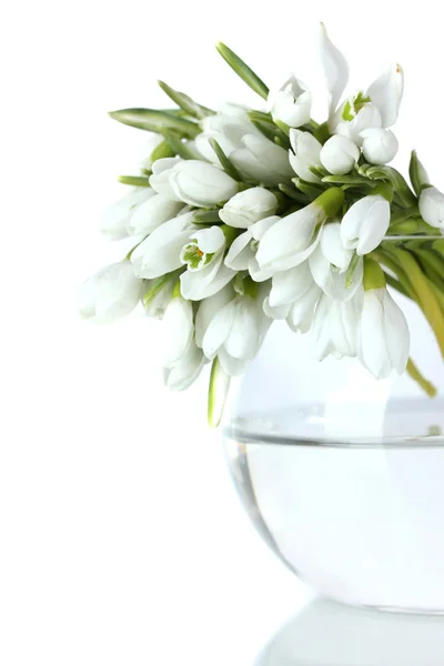 Piękny bukiet Przebiśniegi w przezroczyste wazy na białym tle — Zdjęcie stockowe
