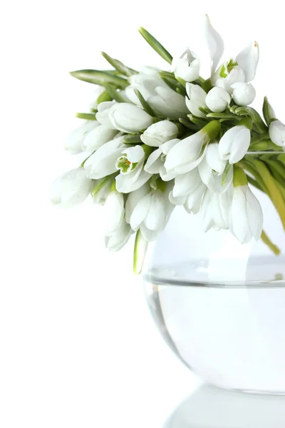 Beautiful bouquet of snowdrops in transparent vase isolated on white — Stock Photo, Image