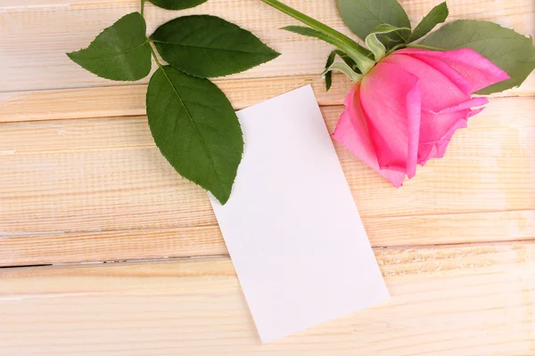 Beautiful rose on wooden background — Stock Photo, Image