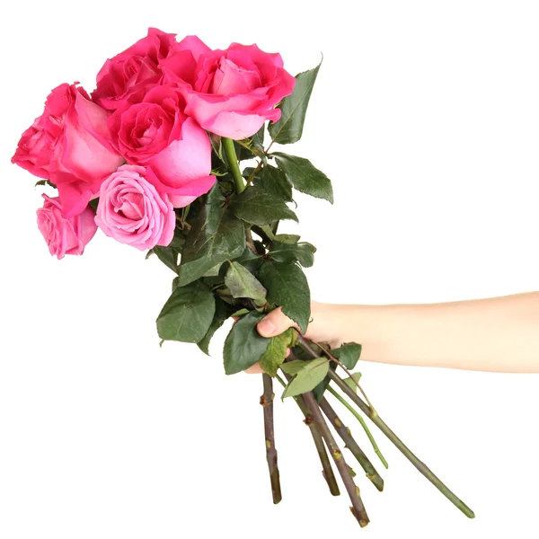 Beautiful pink roses in hand isolated on white — Stock Photo, Image