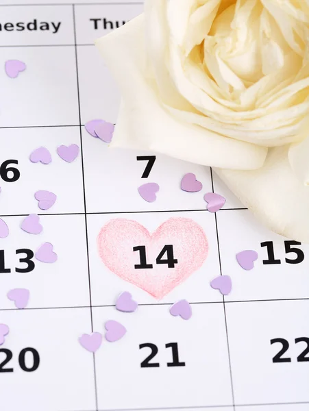 Notas sobre o calendário (dia dos namorados) e rosa, close-up — Fotografia de Stock