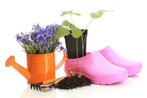 Kaleng air, galoshes, alat-alat dan tanaman dalam pot bunga terisolasi di atas putih — Stok Foto