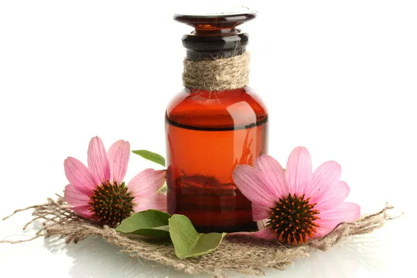 Geneeskunde fles met paarse echinacea, geïsoleerd op wit — Stockfoto