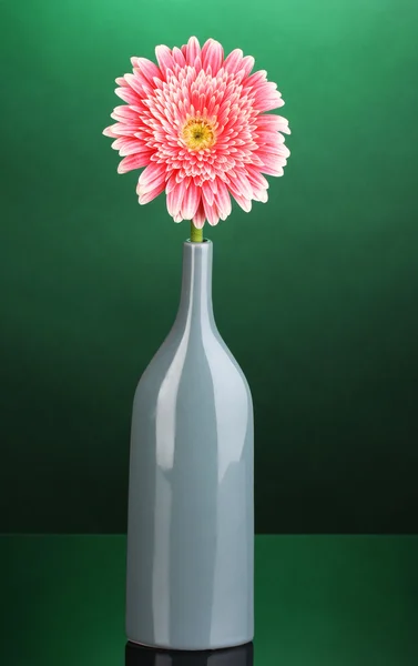 Beautiful gerbera in vase on green background — Stock Photo, Image
