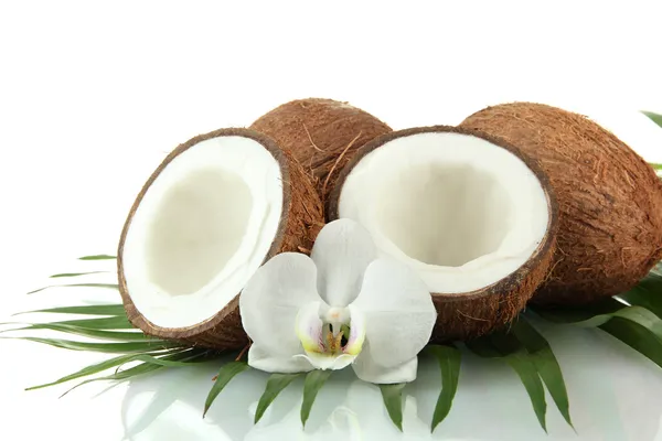 Noci di cocco con foglie e fiori, isolate su bianco — Foto Stock