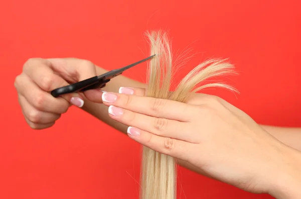 Corte de cabelo, cabeleireiro no trabalho com tesoura — Fotografia de Stock