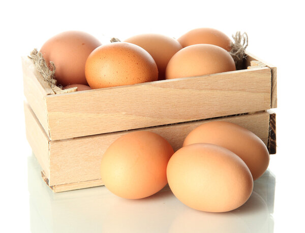Many eggs in box isolated on white