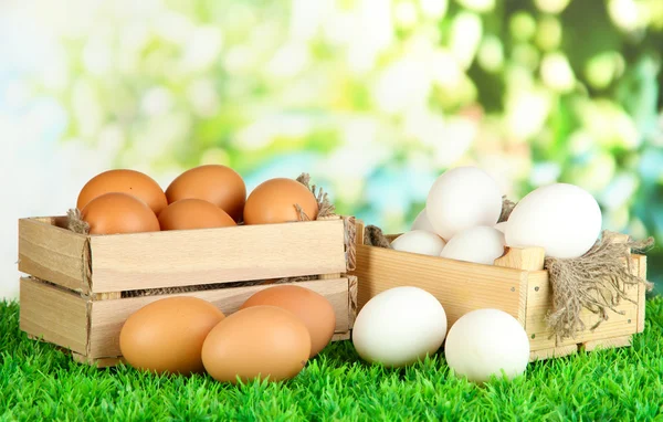 Viele Eier in Schachteln auf Gras auf hellem Hintergrund — Stockfoto