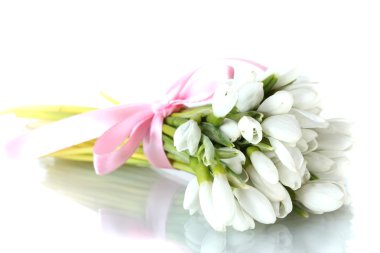 beautiful bouquet of snowdrops isolated on white clipart