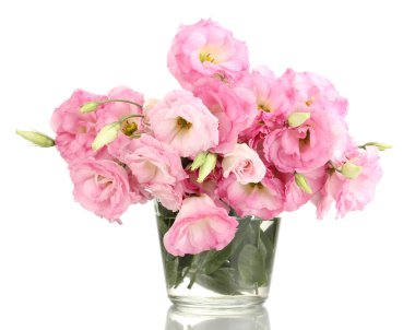 buket üzerinde beyaz izole eustoma çiçek vazosu,