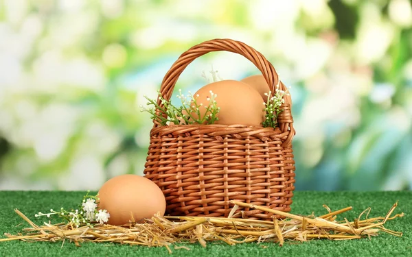 Eggs in basket on grass on natural background — Stock Photo, Image