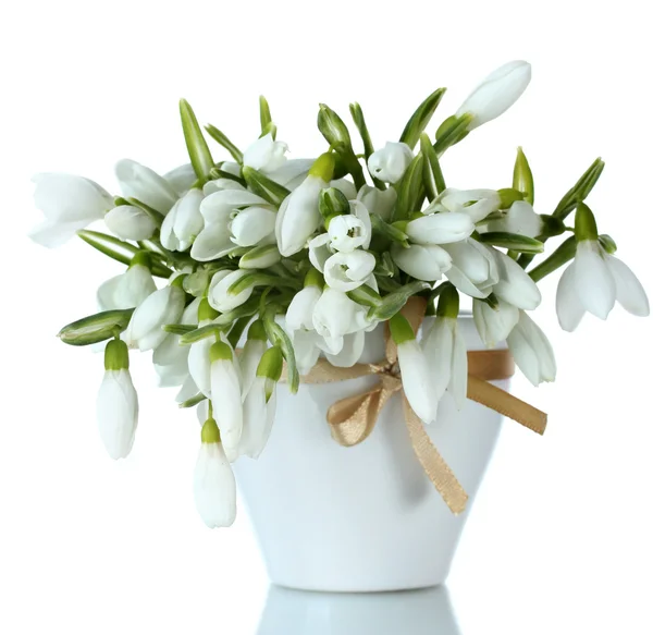 白で隔離される弓と花瓶の snowdrops の美しい花束 — ストック写真
