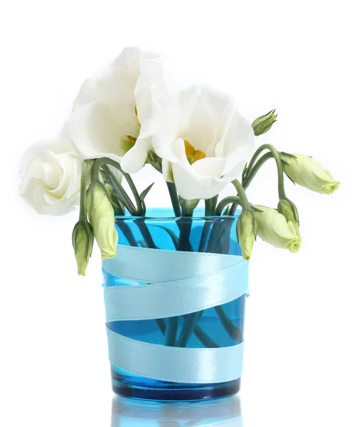 Belas flores de primavera em vaso azul isolado em branco — Fotografia de Stock