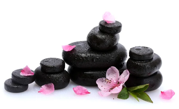 Wellness-Steine mit Tropfen und rosa Sakura-Blüten isoliert auf weiß — Stockfoto