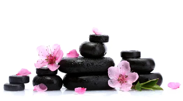 Wellness-Steine mit Tropfen und rosa Sakura-Blüten isoliert auf weiß — Stockfoto